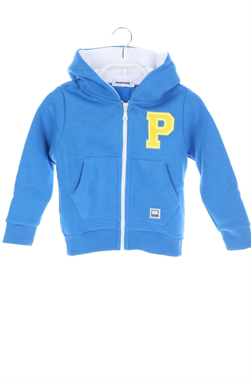 PANTONE - Hoodie with Logo-Print - 104